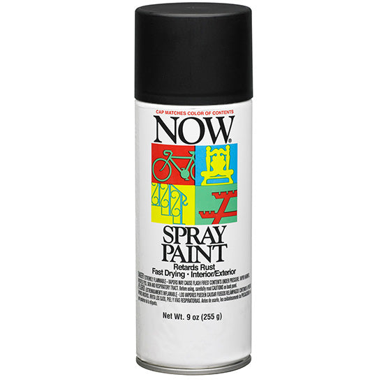 Krylon Spr Now Wrought Iron Fl - 9 oz by Krylon | LCB Paint & Supply