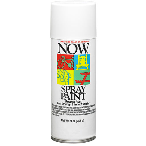 Krylon Spr Now Wrought Iron Fl - 9 oz by Krylon | LCB Paint & Supply